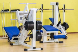 智能健身助手 多媒體產(chǎn)品詳解健身器械使用與參數(shù)